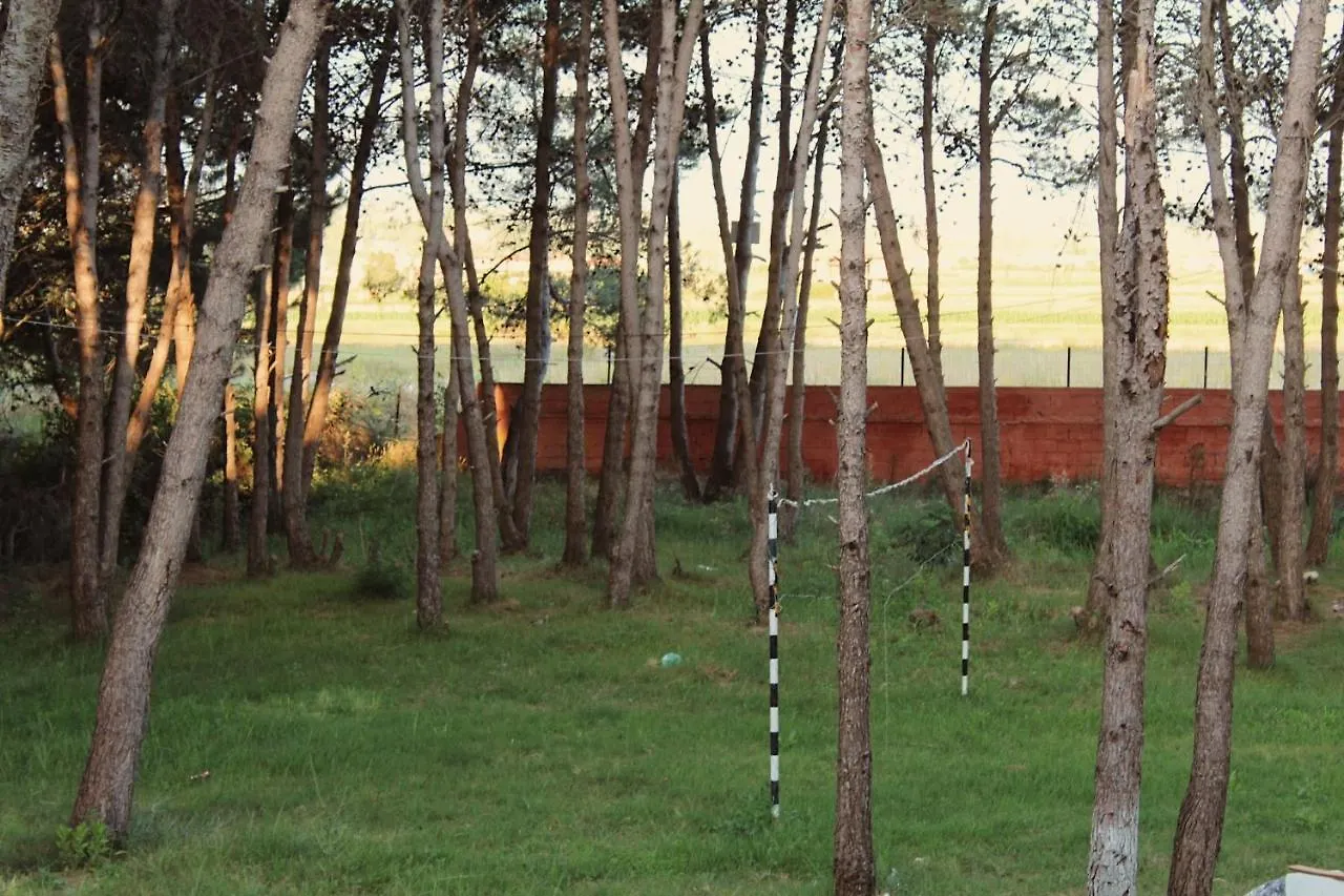 Eta'S Beach Apartment Golem  Golem (Tirana)